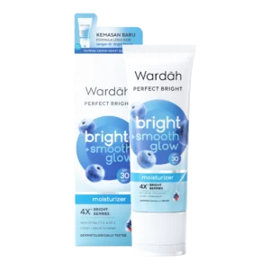 Perfect Bright Glow Cream SPF 30 PA+++